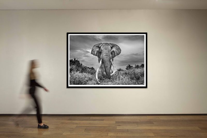 60 x 90 in., edition of 5
